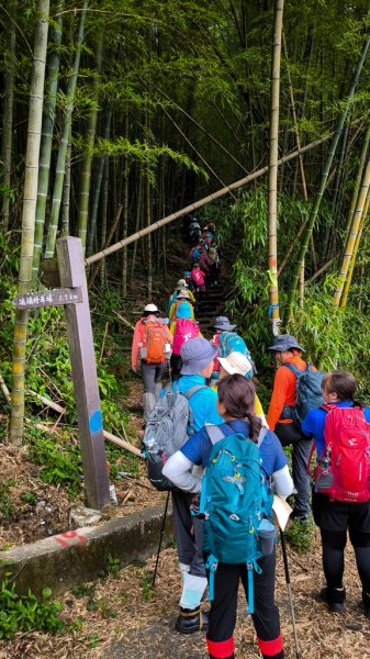 2026-07-26 頂湖大凍山、霹靂山、樂野山3091457