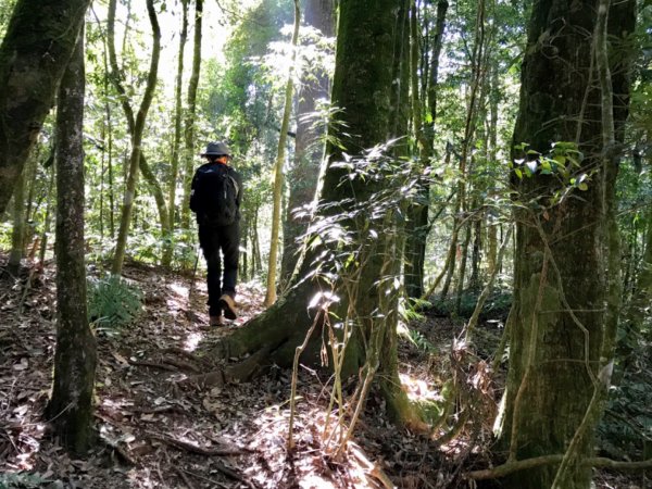 埔里關頭山走舊武界越山502463