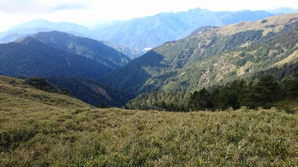 台灣大百岳-合歡山東峰和主峰88548