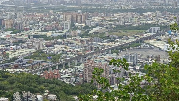 (姨婆趴趴走)第五十集:新北樹林大同山、青龍嶺、大棟山諸峰連走2751583