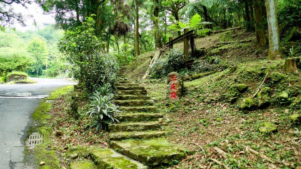石碇大崙,人頭面山,獅公髻尾山2800412