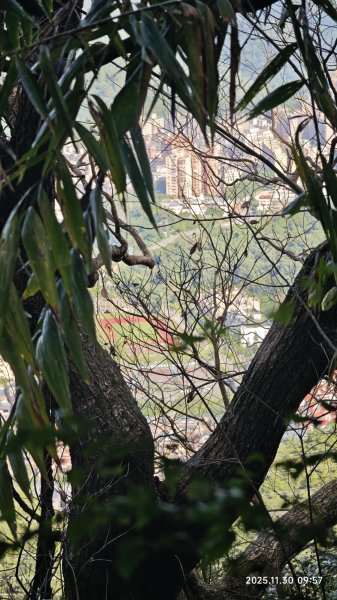 2025-1130 新店三(二)潭縱走2966910