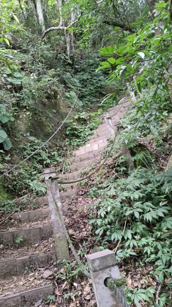 20251004 馬那邦山 - 珠湖 登山口2904850