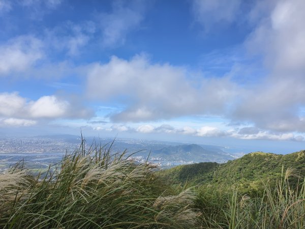 [百山百鳥尋旅-11/15] 2025_0927 大屯主峰-連峰步道_大屯山南峰2899387