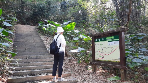 《彰化》卦山少林｜花壇西來園（銀行山）登山步道202412012657887