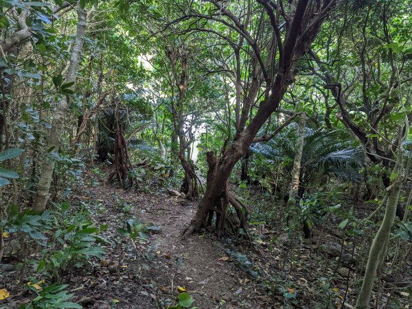 《蘭嶼》小天池、燈塔。鰭尾山。虎頭坡/饅頭山。拼板舟1736433