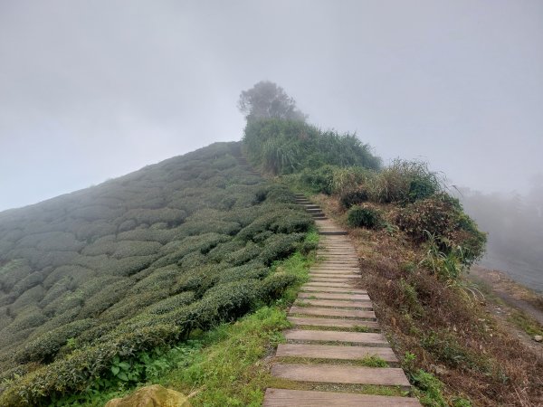 雲嘉五連峰2631430