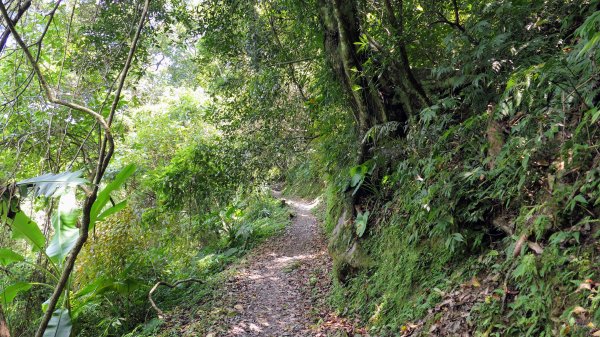 福山部落,內洞森遊區2552405
