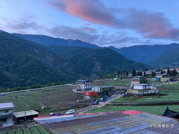 【羅馬縱走】山林巨木饗宴，夏季避暑的縱走路線2888193