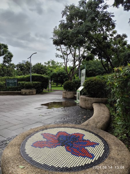 大安森林公園、瑞陽公園、大港墘公園、宏匯瑞光廣場【走路趣尋寶】【臺北健走趣】2574707