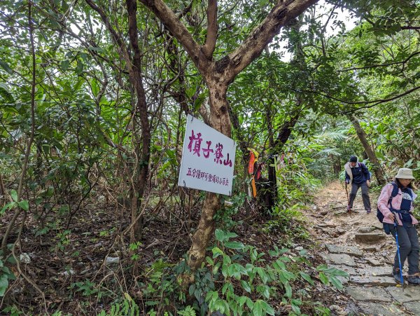 2023-02-11 槓子寮砲台、槓子寮山步道（龍崗步道）2792626