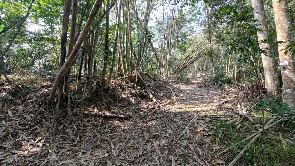 西阿里關山3033622