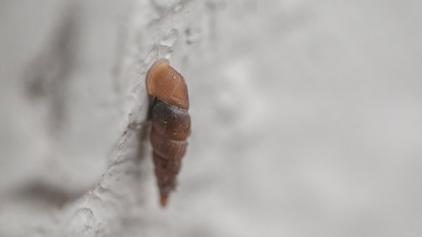 基隆一日雙塔｜山、海、碼頭2684334