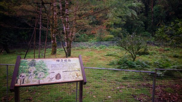 福山植物園1571433