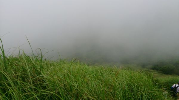 20180608向天山面天山向天池354128