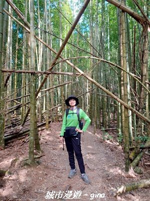 【台中和平】山林野餐。長壽山(肥崠山)山徑2969447