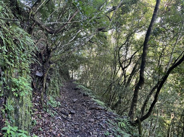 2025_0621 霞喀羅國家步道(養老端)2819871