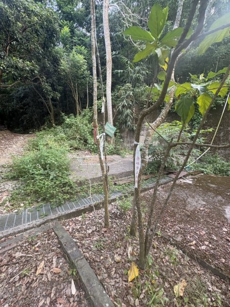 20251101烏山縱走北段 雲山寺至刣牛湖山(途經風空子山.孟璋山.烏山.刣牛湖山北峰)2928743