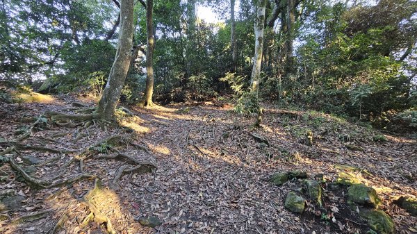 鵝公髻山 鵝公髻山東北峰 第一登山口上下入門路線2395280