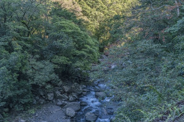 滿月圓雲瀑, 溪瀑與楓-202112141553453