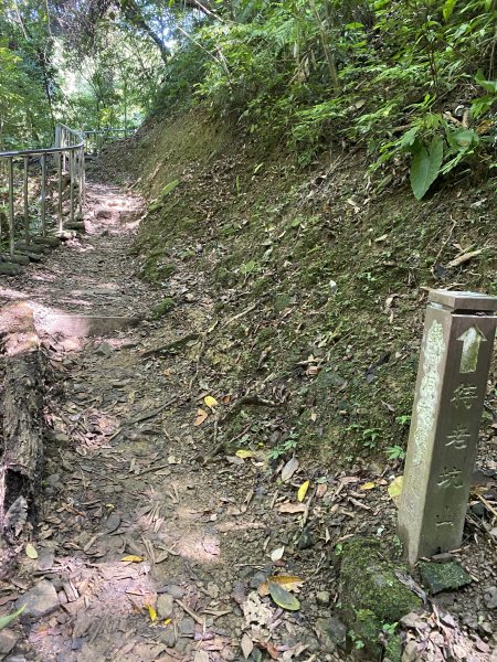 2025微笑山線大縱走尋寶集章任務-Ep.07【二格山系】銀河洞越嶺2888098