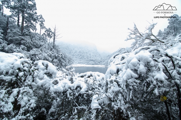 【攝野紀】夢幻般的雪中松蘿湖264524