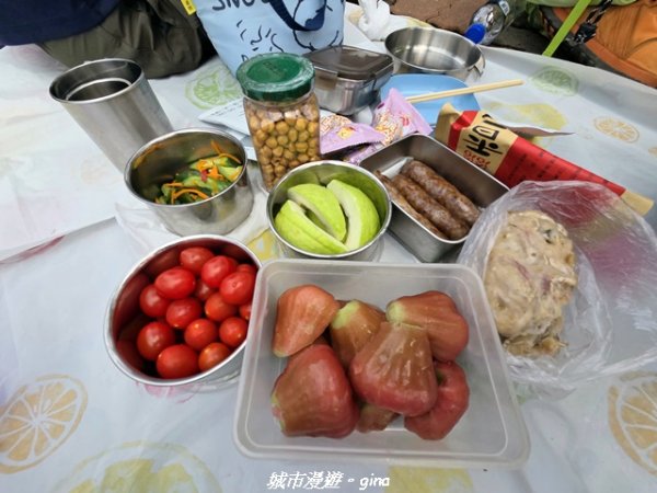 【台中龍井/大肚】竹坑南寮登山步道x瑞井登山步道O繞3031264