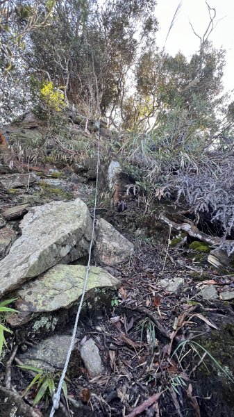 魚池過坑山-大尖山-卓社林道O繞_202312082369916