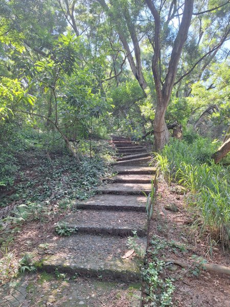 田中森林登山步道＋茶香步道＋赤水崎公園步道202508172862071