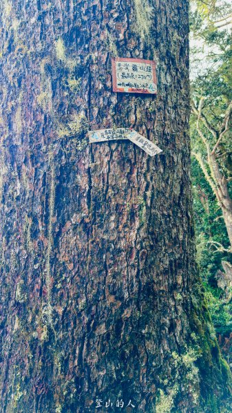 億年橋上志佳陽2960150