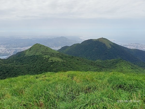 【臺北大縱走 2+1】鞍部→大屯山主、南、西峰連走→面天坪→清天宮2242877