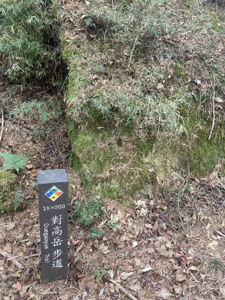 10大塔山對高岳小笠原祝山112.01.163126759