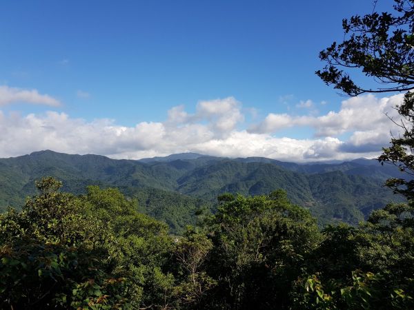 2018.07.16 土城三粒半、天上山408521