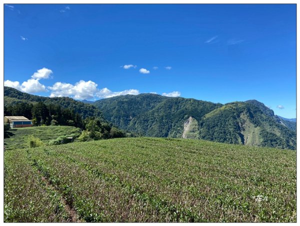 龍鳳峽縱走羊頭崙山(溪頭七連峰)2542330