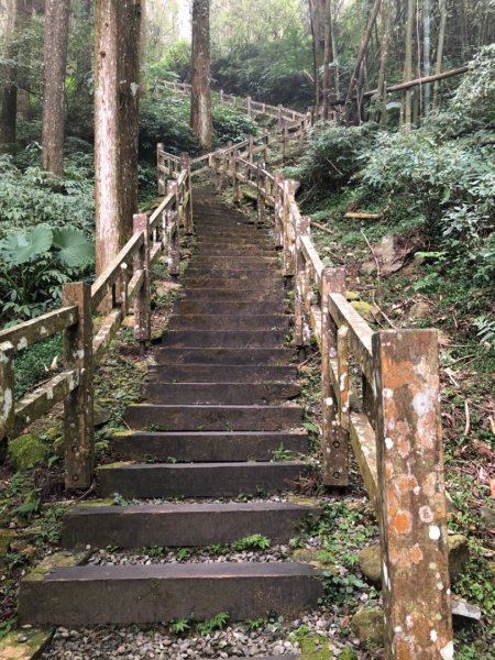 1090216奮起湖木馬古道、衫林步道840154