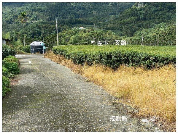 樟湖山 右上左下 (雲林、古坑)2846323