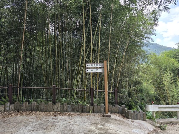 [皮皮獅探險隊-10/10] 2025_0816 白蘭溪古道2862936