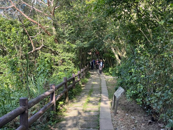 [微笑山線_第五段] 2025_0705 天上山系_五尖山2830303