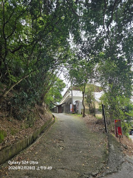 2026-02-28微笑山線：【大棟山系】405高地段3008672