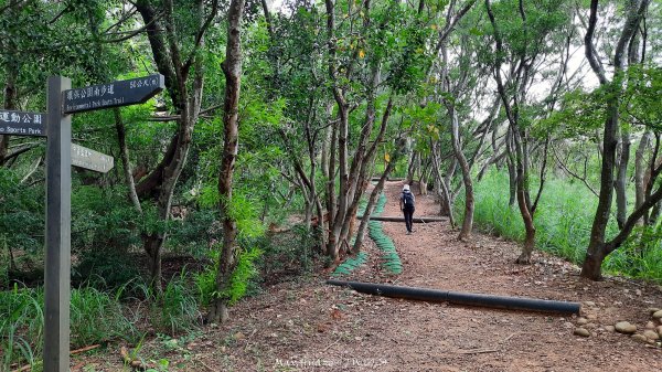 《台中》颱風前夕｜大肚環保公園登山步道(北段)202409292606721