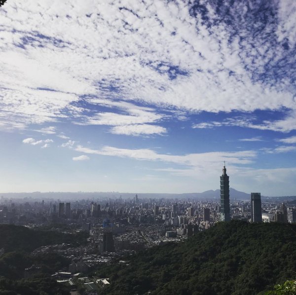 南港山縱走親山步道（象山、拇指山、南港山、九五峯）1490851