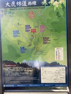 1120710觀霧國家森林風景區2938293