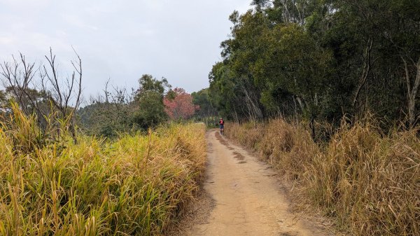 【台灣健行】台中、大肚山越野2695775