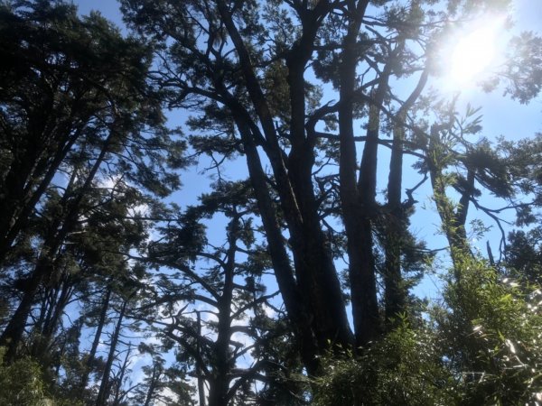 大雪山林道船型山鞍馬山537479