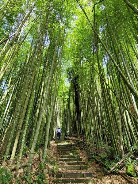 大凍山步道2235070