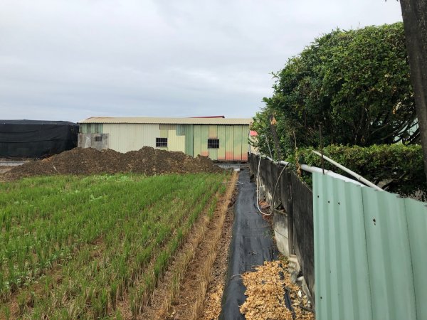 台南市六甲、官田、麻豆、將軍土地調查局圖根點。六甲、番子田、寮子廓、新豹尾（末尋得）、過港子1634824