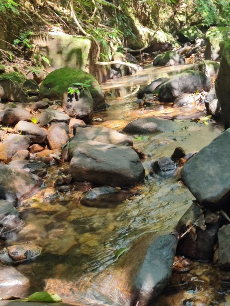 萬中瀑布-瑪鍊山-大路嶺古道-村長古厝-金剛岩-獅頭瀑布3005086