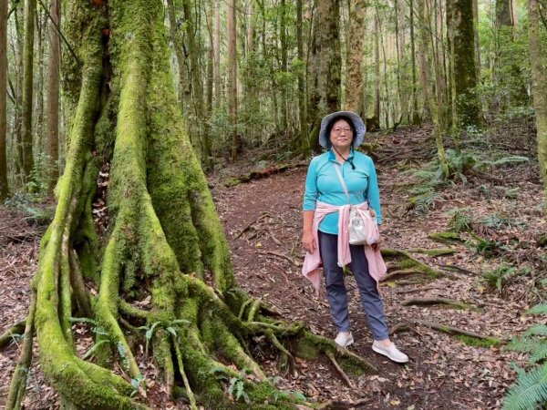 清泉 雪霸農場 野馬瞰山2925866
