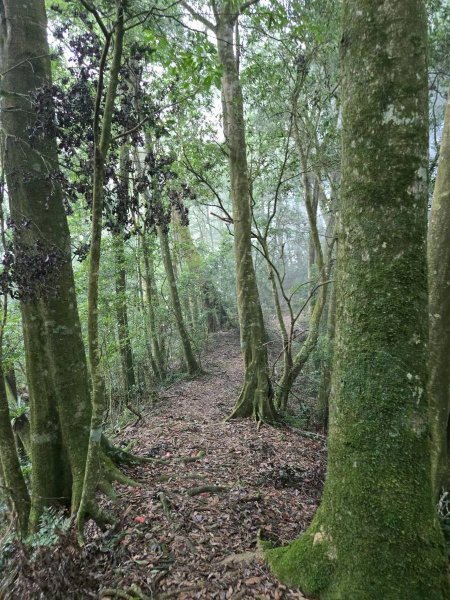 石壁山&嘉南雲峰2876454