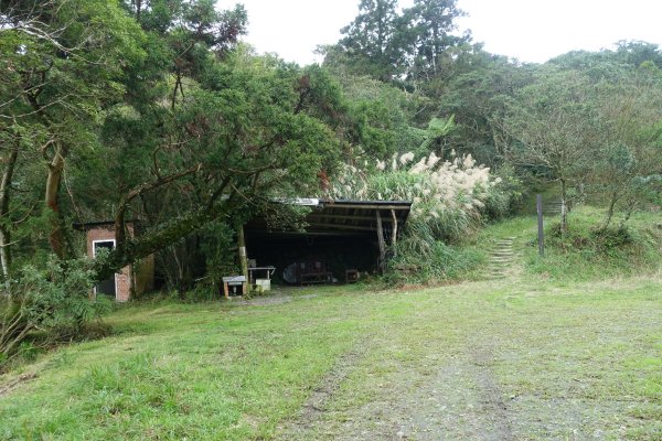 獅公髻尾山3086286